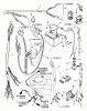 Snapper 421615TVE - 42" Rear-Engine Rider, Series 15 Ersatzteile Electrical Systems For 16 HP Tecumseh