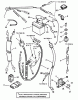 Snapper 421620BVE - 42" Rear-Engine Rider, 16 HP, Series 20 Ersatzteile Electrical System (For 16HP Briggs Engine) (Part 1)