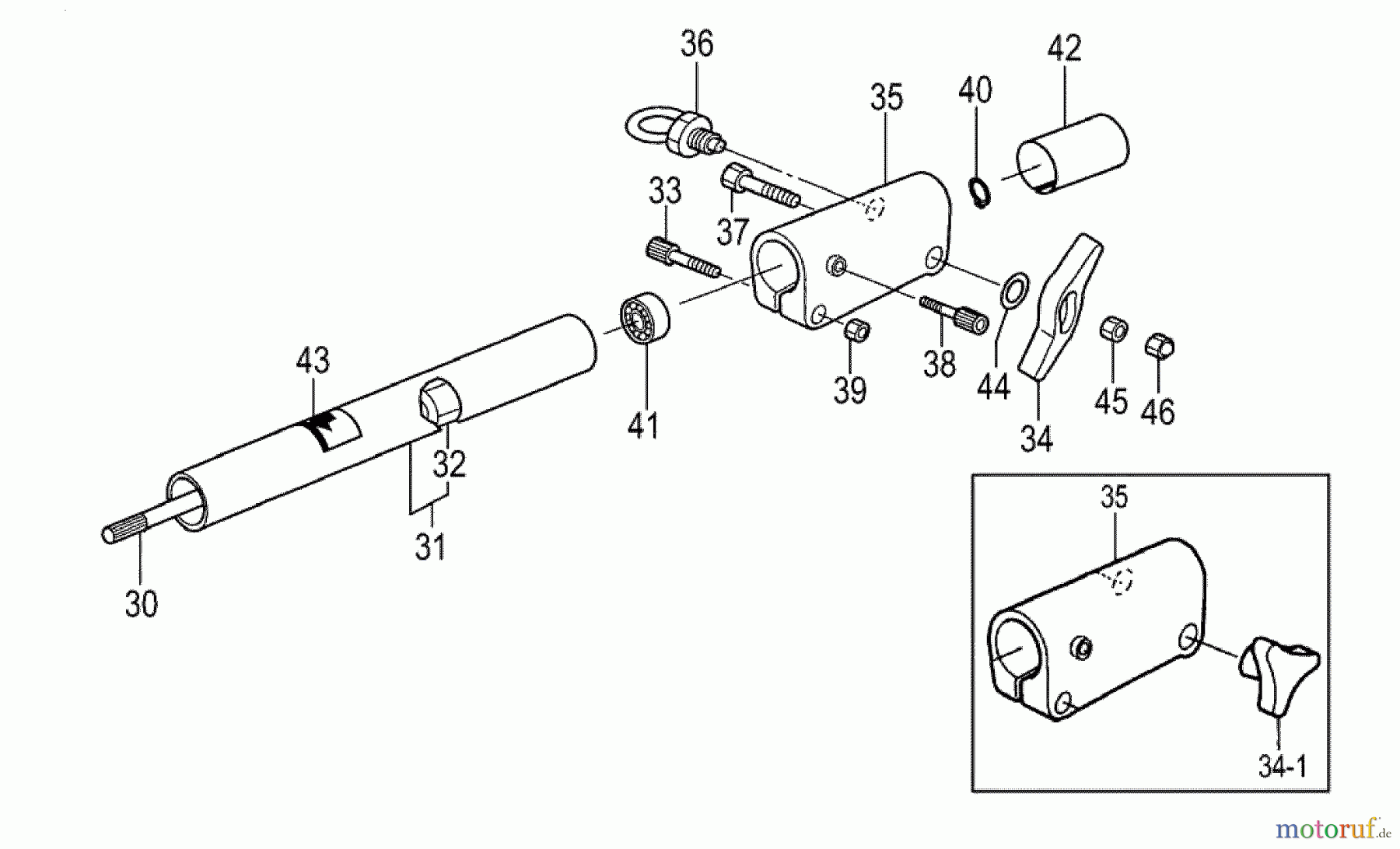  Tanaka Hochentaster TPS-2501 - Tanaka Extended Reach Pole Saw 24