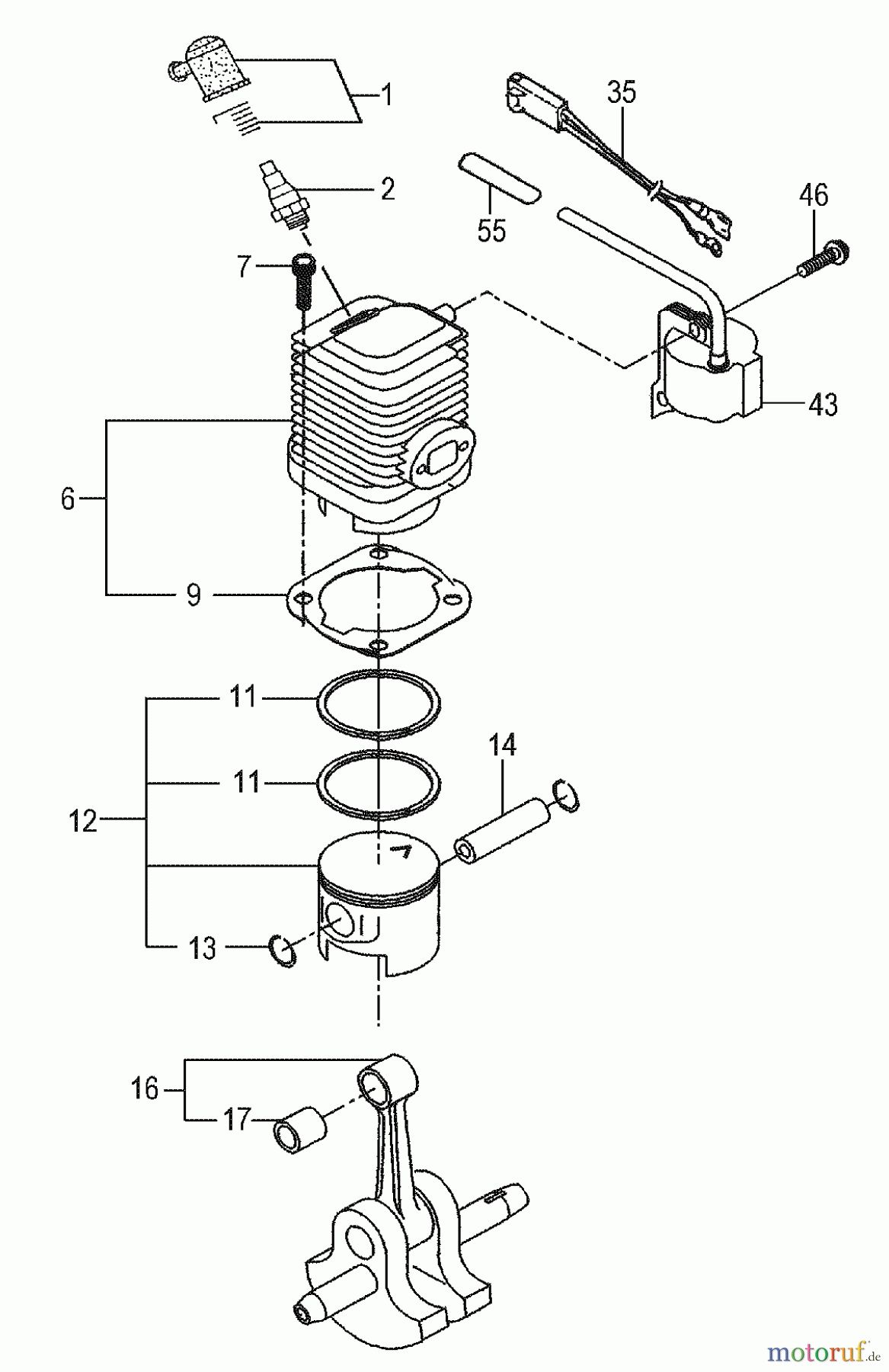  Tanaka Hochentaster TPS-2501 - Tanaka Extended Reach Pole Saw Engine / Cylinder, Piston, Crankshaft, Ignition