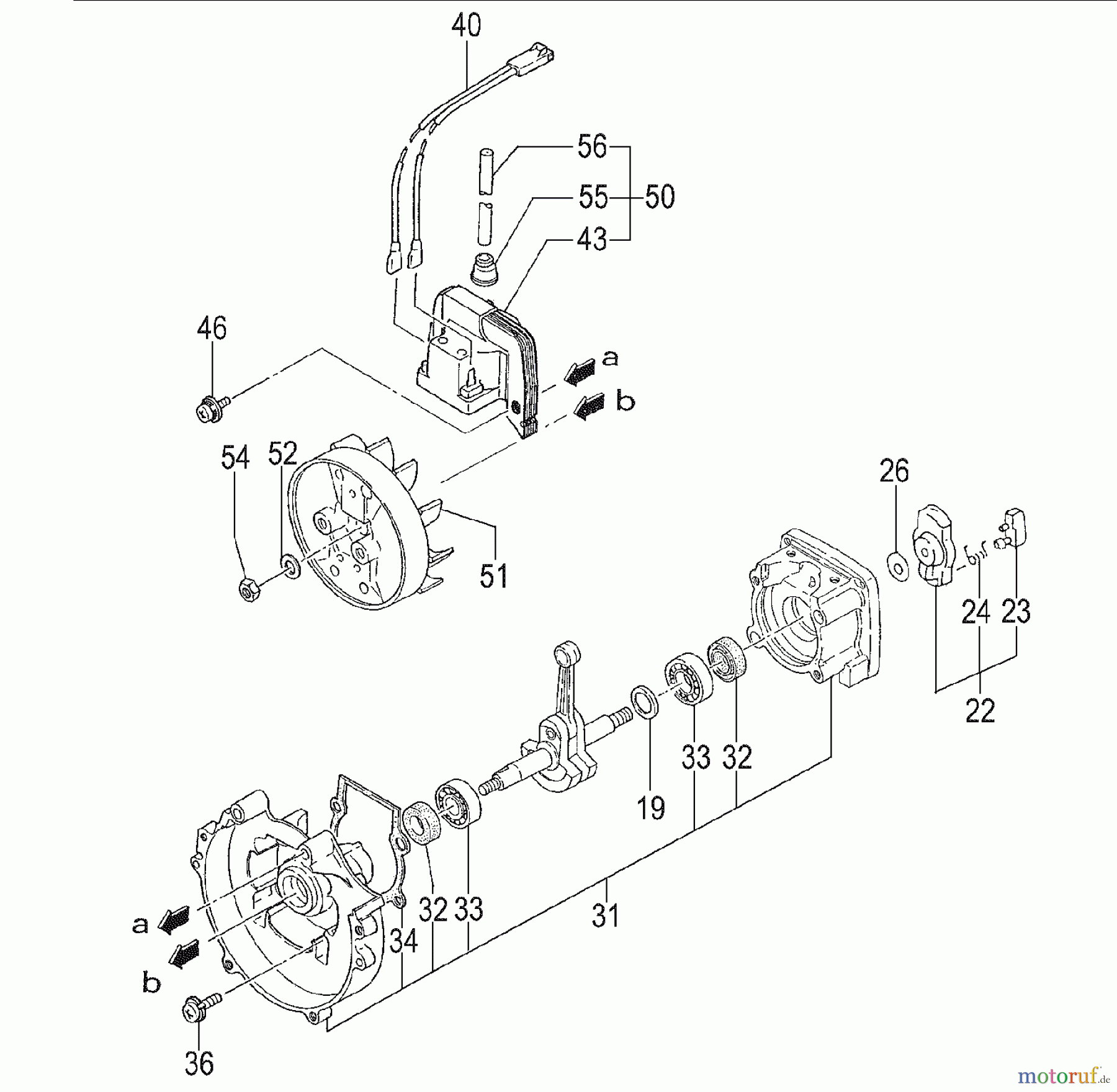 Tanaka Hochentaster TPS-2510 - Tanaka Extended Reach Pole Saw Crankcase, Flywheel, Ignition