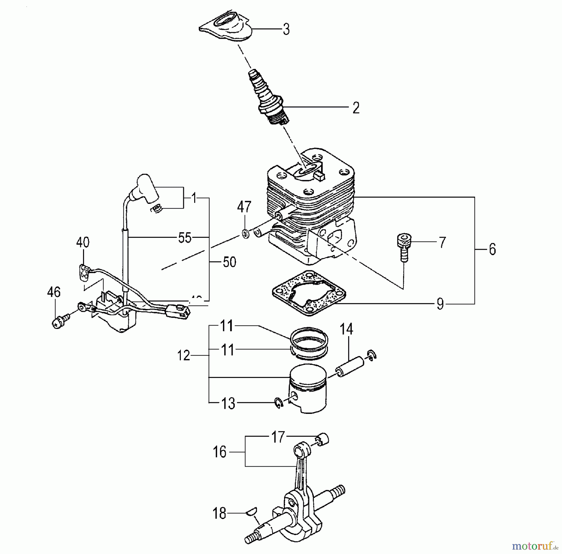 Tanaka Hochentaster TPS-270PN - Tanaka Extended Reach Pole Saw Engine / Cylinder, Piston, Crankshaft, Ignition