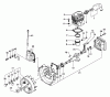 Tanaka TBC-5500 - Trimmer / Brush Cutter Ersatzteile Engine
