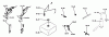 Toro 1-0396 (C-120) - C-120 8-Speed Tractor, 1975 Ersatzteile 10.000 FUEL AND EXHAUST SYSTEMS (FIG. 10)