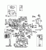 Toro 56145 (8-32) - 8-32 Rear Engine Rider, 1988 (8000001-8999999) Ersatzteile ENGINE BRIGGS & STRATTON MODEL NO. 191707-2161-01 8 H.P. REAR ENGINE RIDER RECOIL MODEL 56145 #1