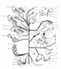 Toro 73520 (520-H) - 520-H Garden Tractor, 1995 (5900001-5900177) Ersatzteile ELECTRICAL SYSTEM