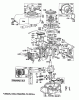 Toro 56006 - 25" Premium Rider, 1979 (9000001-9999999) Ersatzteile ENGINE BRIGGS & STRATTON MODEL 130902-0534-01