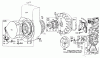 Toro 62911 - 5 hp Lawn Vacuum, 1974 (4000001-4999999) Ersatzteile REWIND STARTER