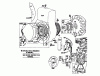 Toro 62912 - 5 hp Lawn Vacuum, 1981 (1000001-1999999) Ersatzteile REWIND STARTER