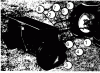 Toro FS-36 - 36" Spreader, 1960 Ersatzteile FS-36 SPREADER PARTS LIST