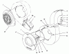 Toro 62924 - 5 hp Lawn Vacuum, 1996 (6900001-6999999) Ersatzteile BLOWER ASSEMBLY