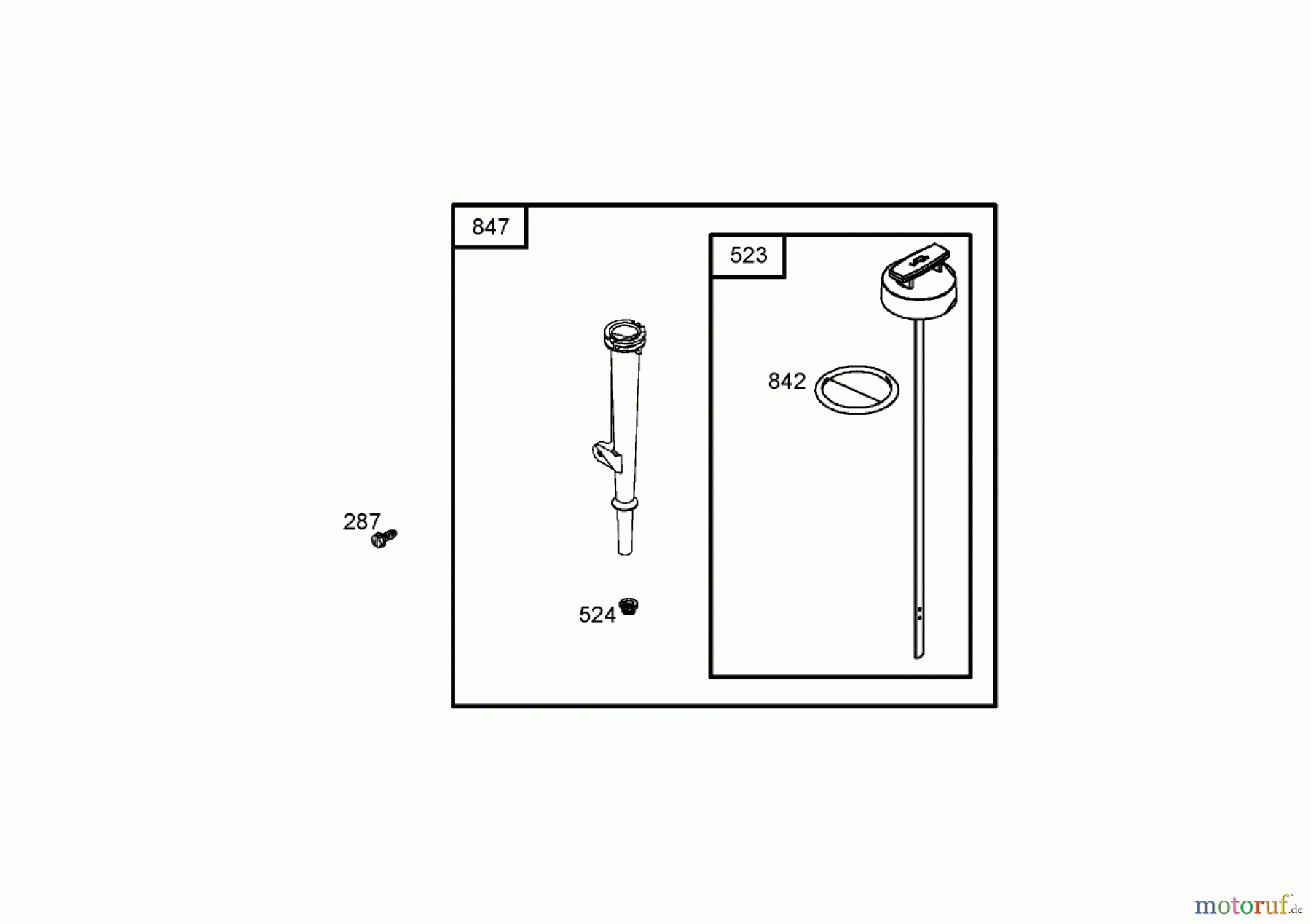 Toro Neu Blowers/Vacuums/Chippers/Shredders 62925 - Toro 206cc OHV Vacuum Blower, 2005 (250000001-250999999) OIL TUBE AND DIPSTICK ASSEMBLY BRIGGS AND STRATTON 126302-0245-E1